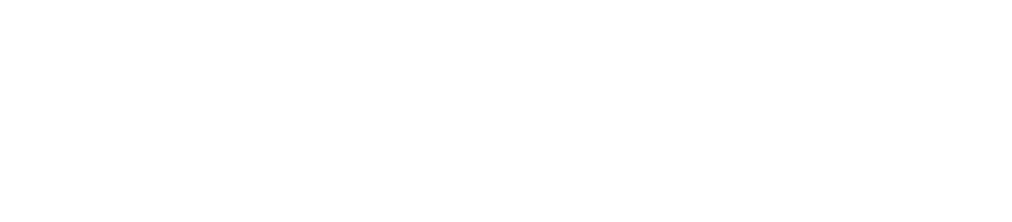 Denina Martin Collection logo transp